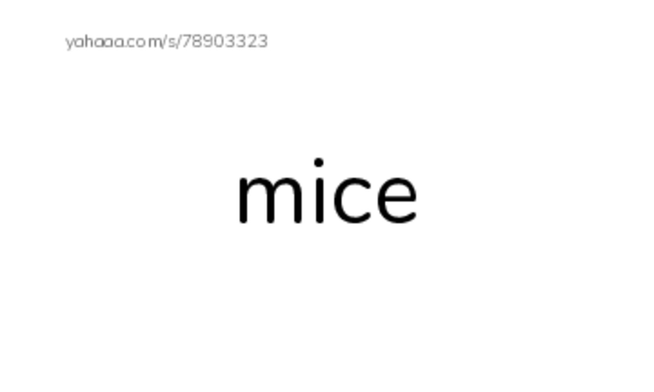 Index cards, words only worksheet for RE U7 S1