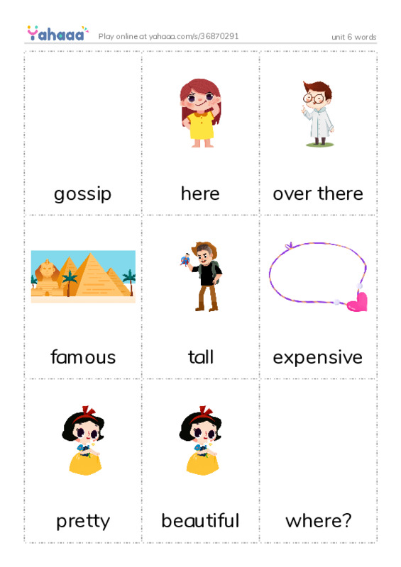 Picture flashcards worksheet for unit 6 words