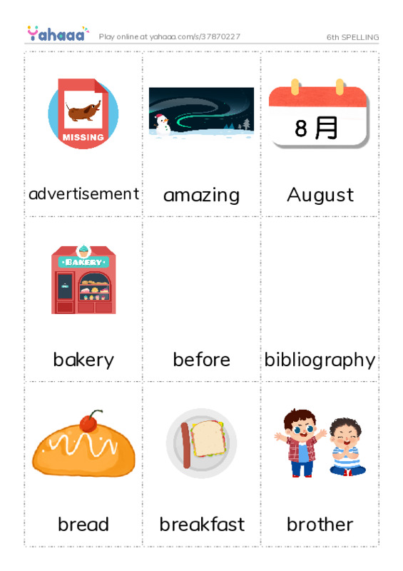 Picture flashcards worksheet for 6th SPELLING