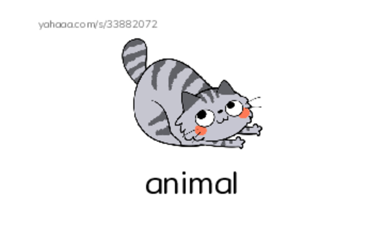 Index cards with pictures worksheet for 3th grade SPELLING