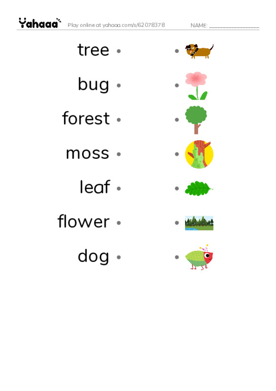 Draw a line to match worksheet for the new forest path