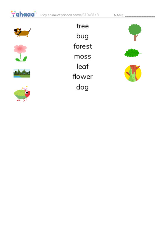 Match both sides worksheet for the new forest path