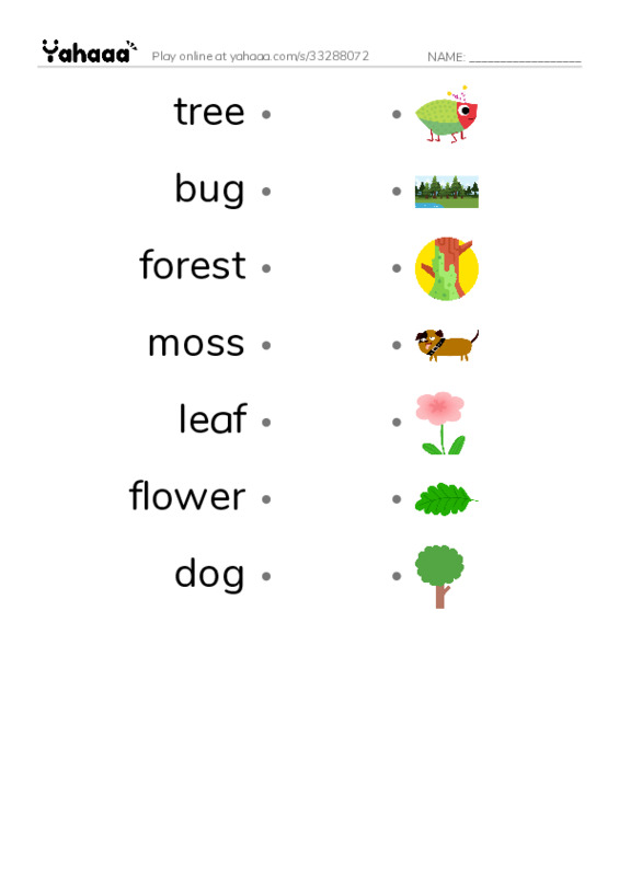Draw a line to match worksheet for the new forest path