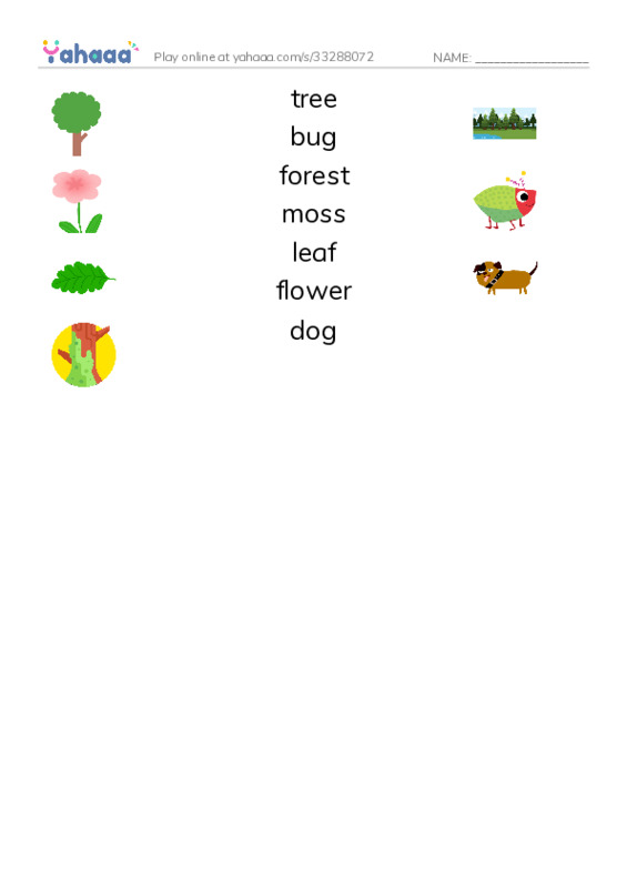 Match both sides worksheet for the new forest path