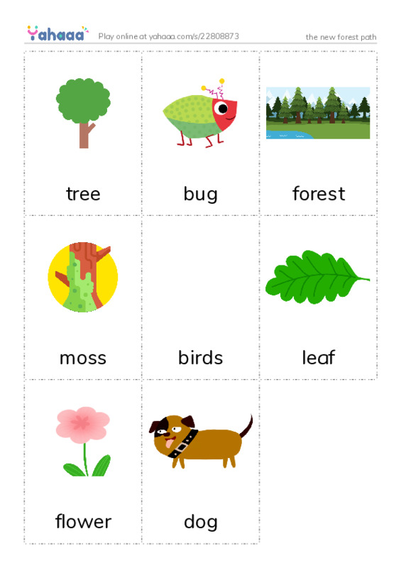 Picture flashcards worksheet for the new forest path