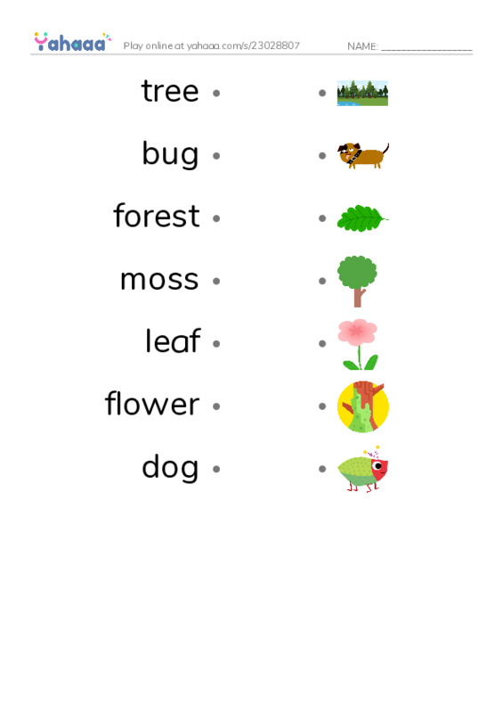 Draw a line to match worksheet for the new forest path