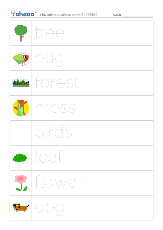 Picture and word rows worksheet for the new forest path