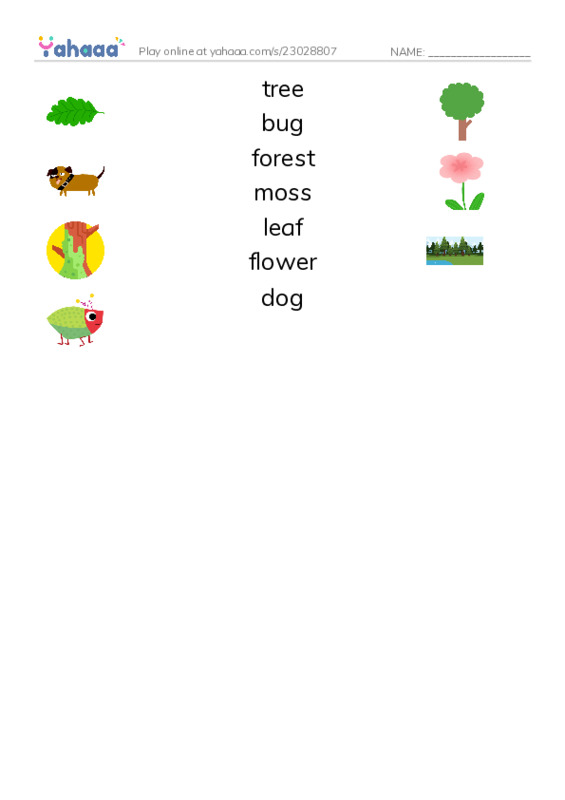 Match both sides worksheet for the new forest path