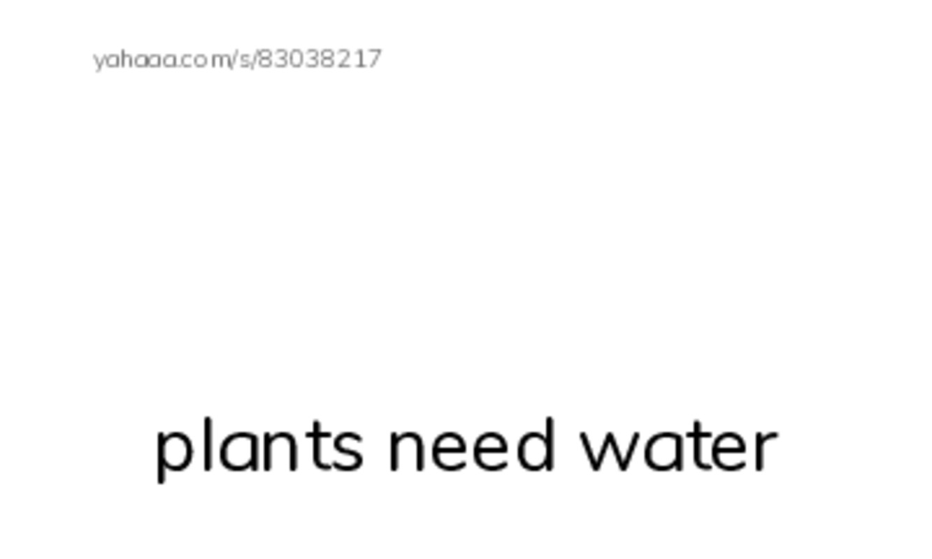 Index cards with pictures worksheet for UOI sentence plants