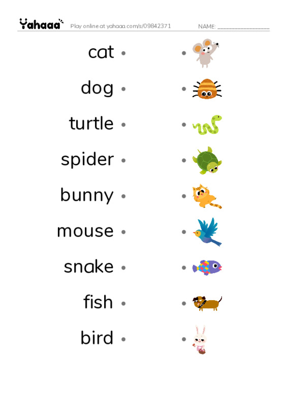 Draw a line to match worksheet for Pets