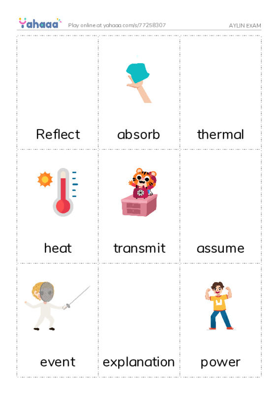 Picture flashcards worksheet for AYLIN EXAM