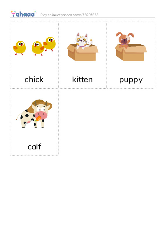 Picture flashcards worksheet for chick, kitten, puppy and 1 more