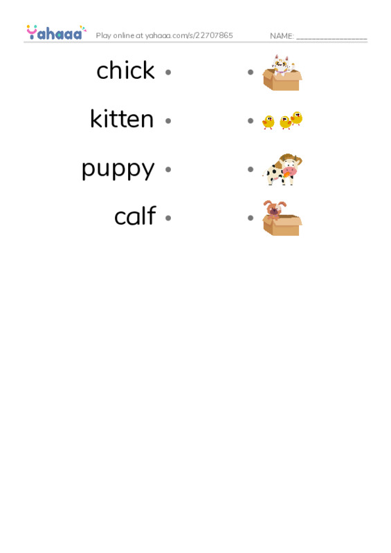 Draw a line to match worksheet for chick, kitten, puppy and 1 more