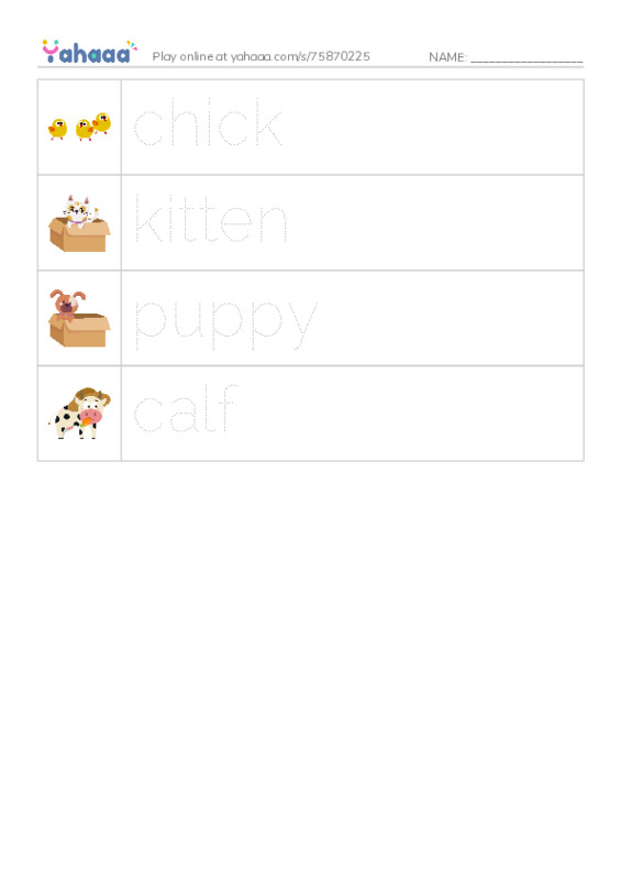 Picture and word rows worksheet for chick, kitten, puppy and 1 more