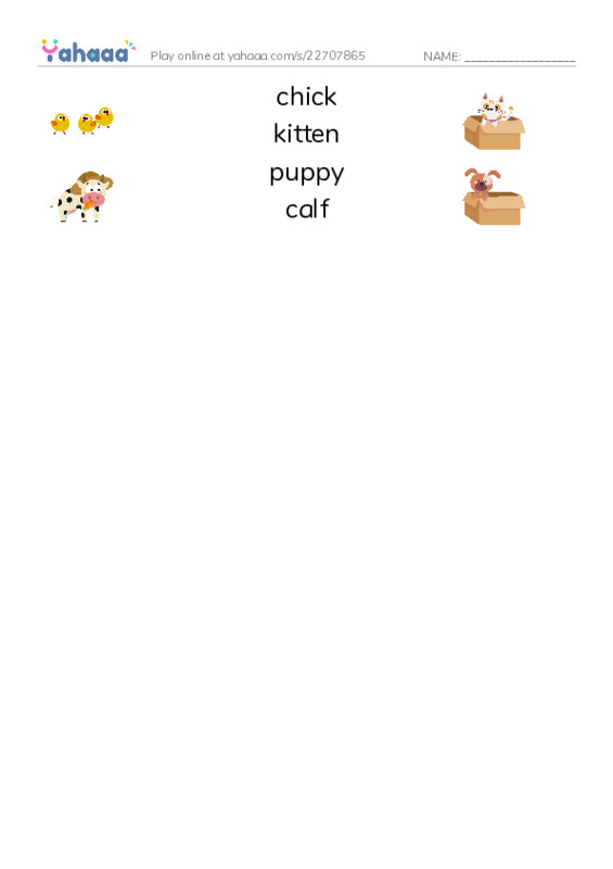 Match both sides worksheet for chick, kitten, puppy and 1 more