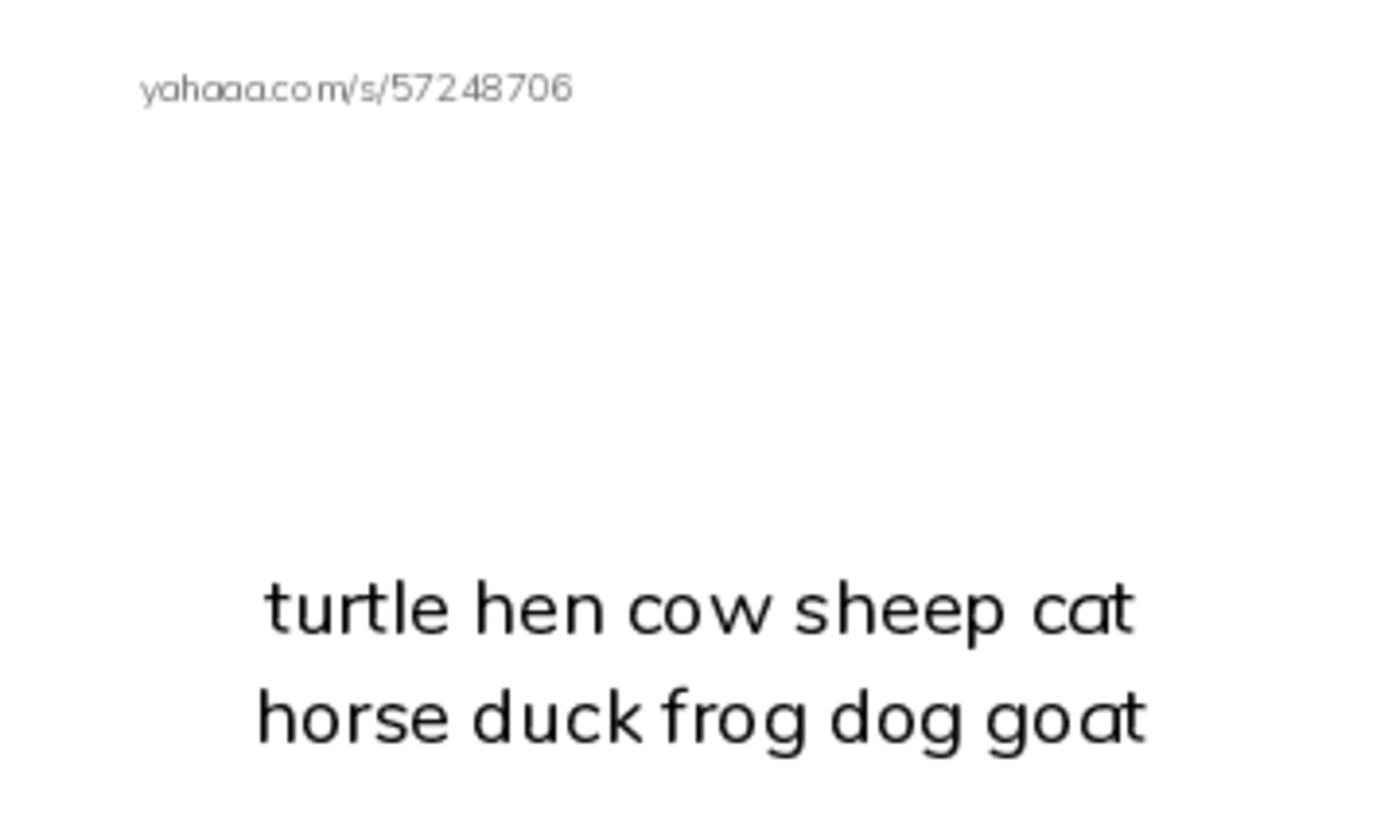 Index cards with pictures worksheet for turtle hen cow sheep cat horse duck frog dog goat