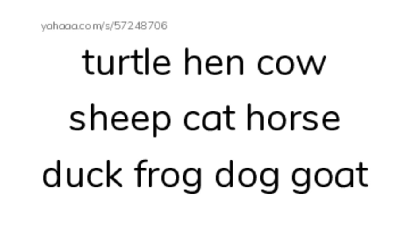 Index cards, words only worksheet for turtle hen cow sheep cat horse duck frog dog goat