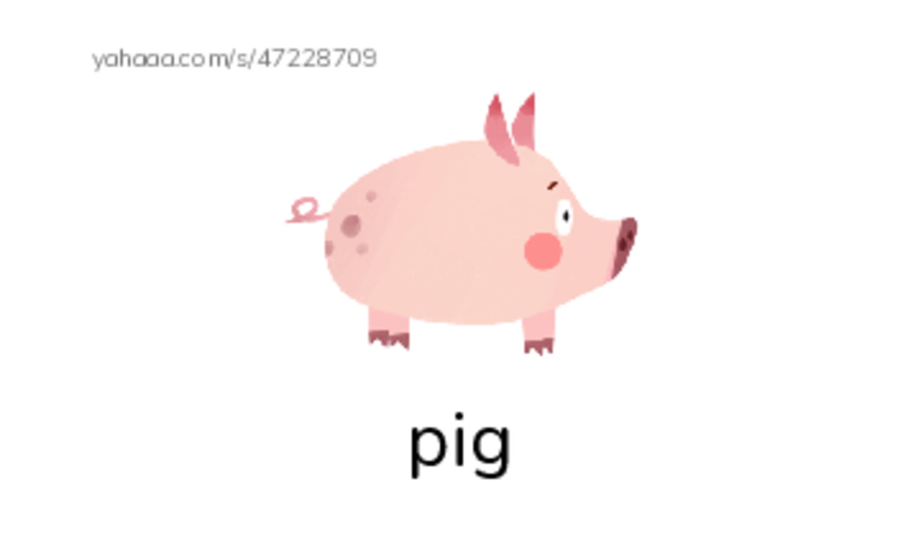 Index cards with pictures worksheet for pig, milk, ink and 12 more