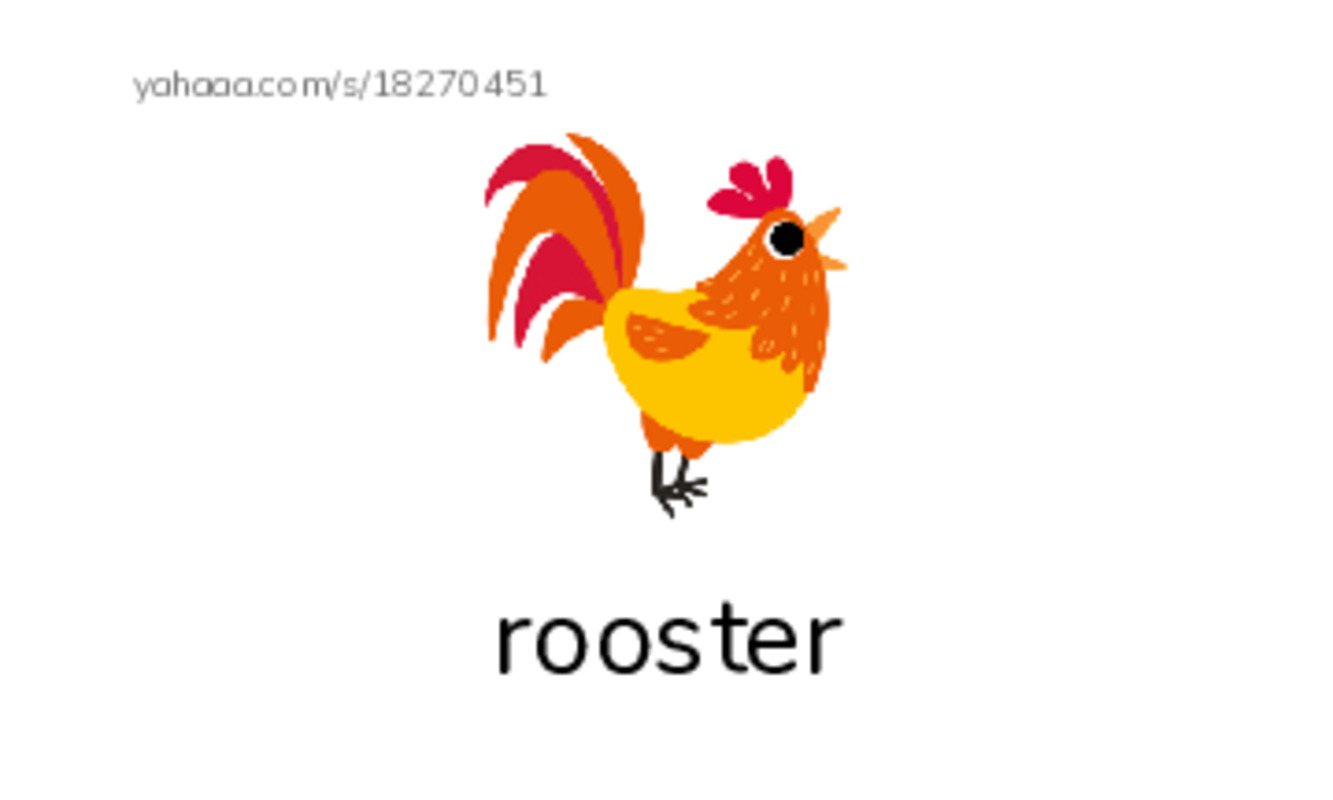 Index cards with pictures worksheet for wake up rooster