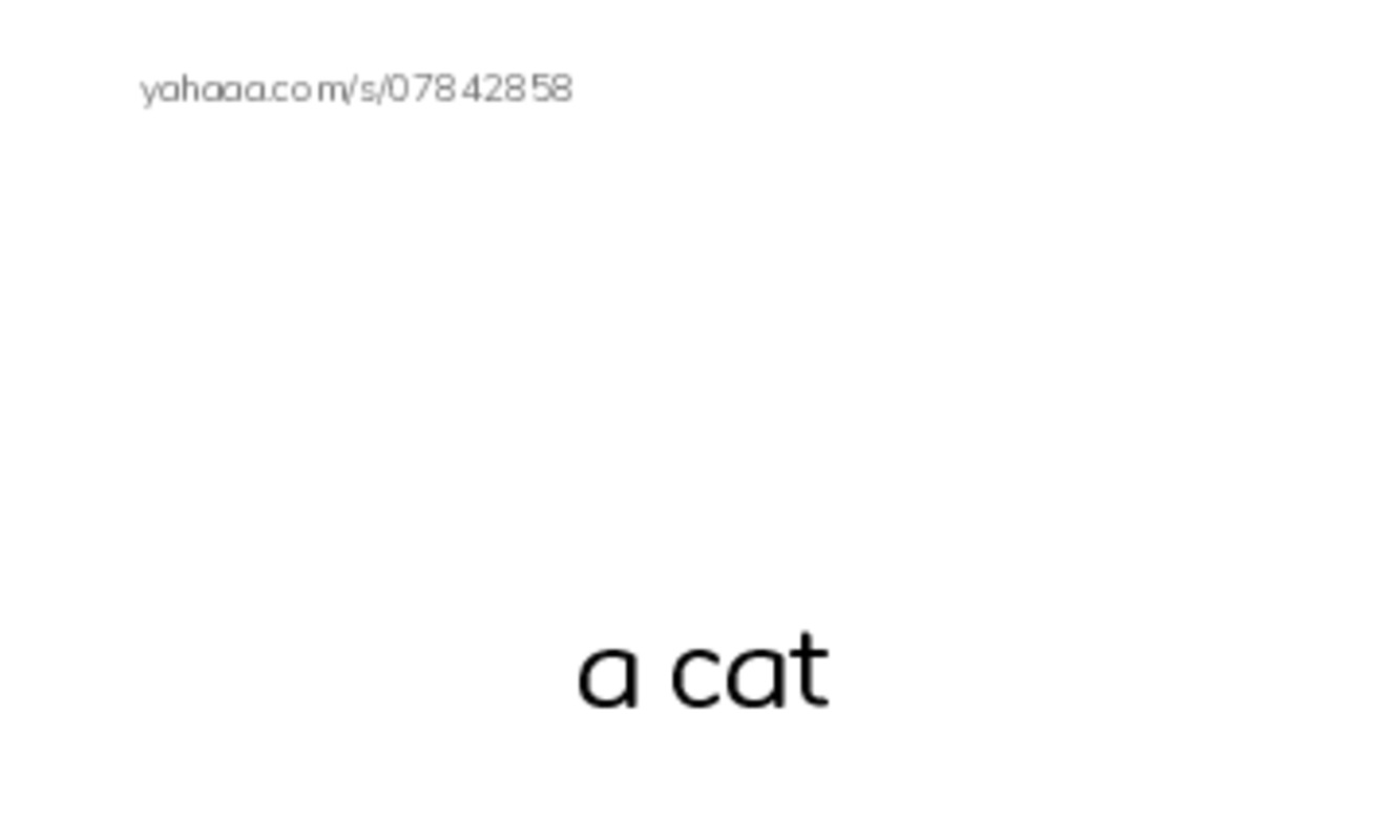 Index cards with pictures worksheet for Unit 8: Animals