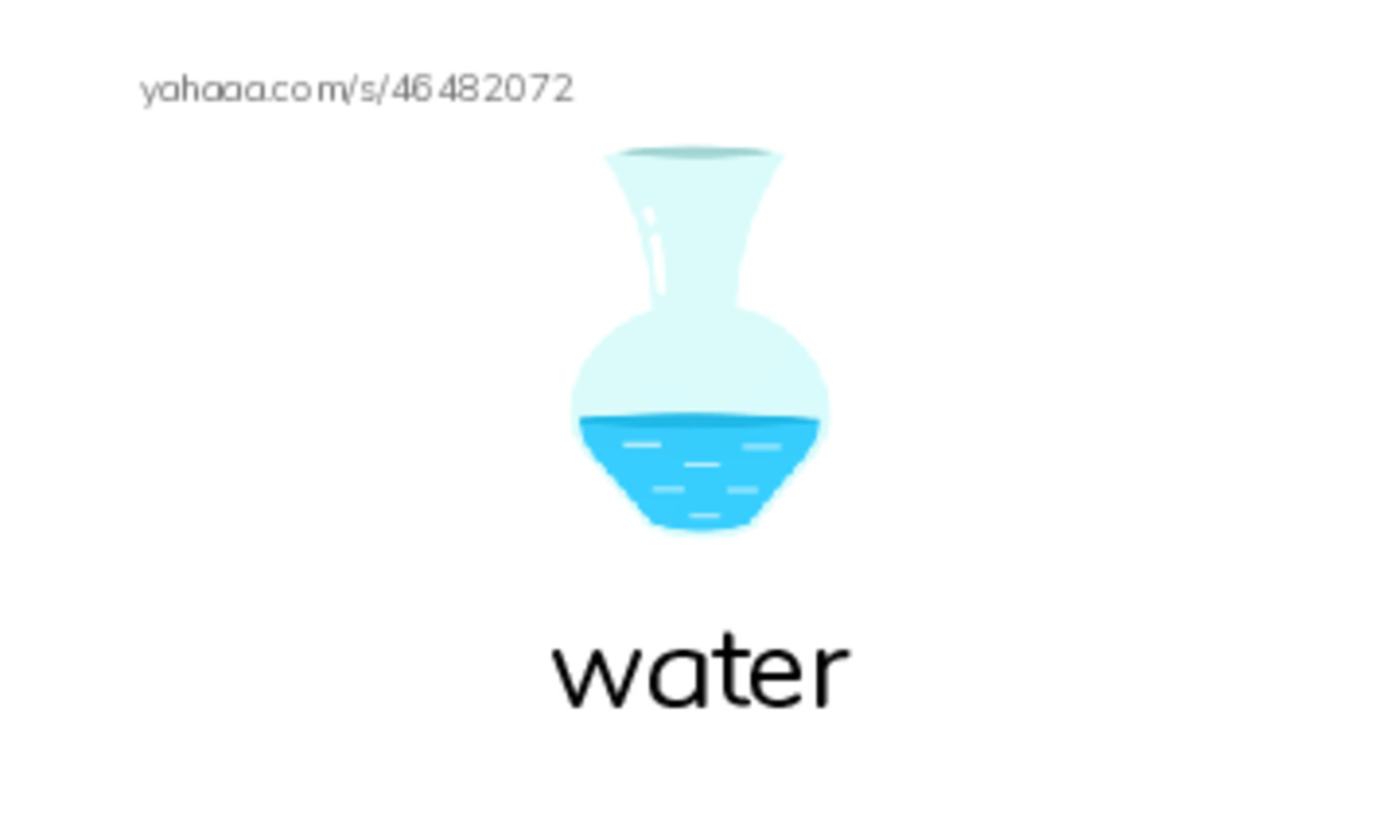 Science PDF index cards with images