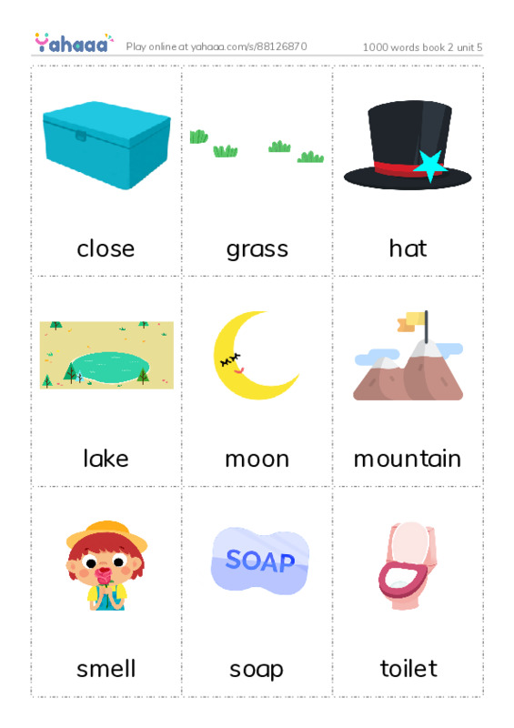 Picture flashcards worksheet for 1000 words book 2 unit 5
