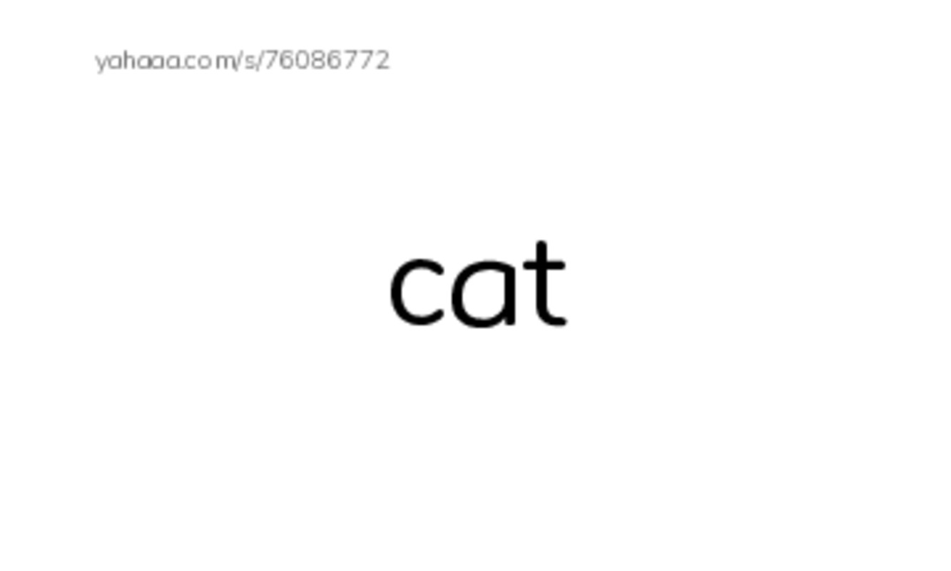 Index cards, words only worksheet for Animal