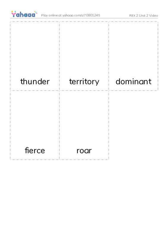 Picture flashcards worksheet for REX 2 Unit 2 Video