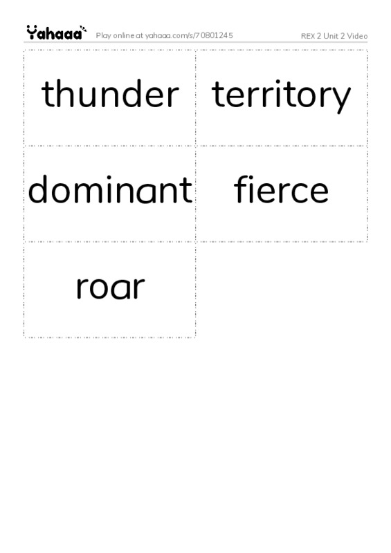 Word flashcards worksheet for REX 2 Unit 2 Video