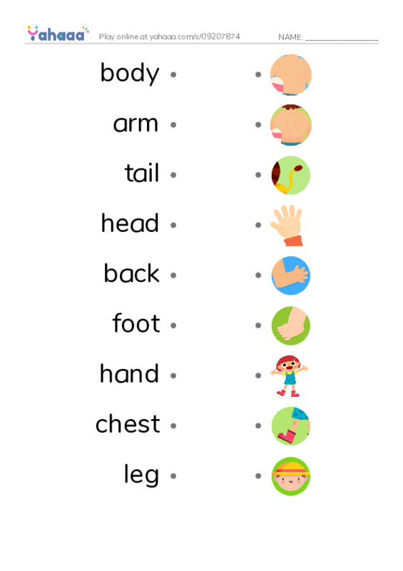 Draw a line to match worksheet for body, arm, tail and 6 more