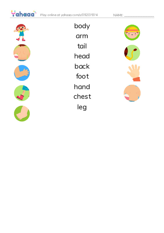 Match both sides worksheet for body, arm, tail and 6 more