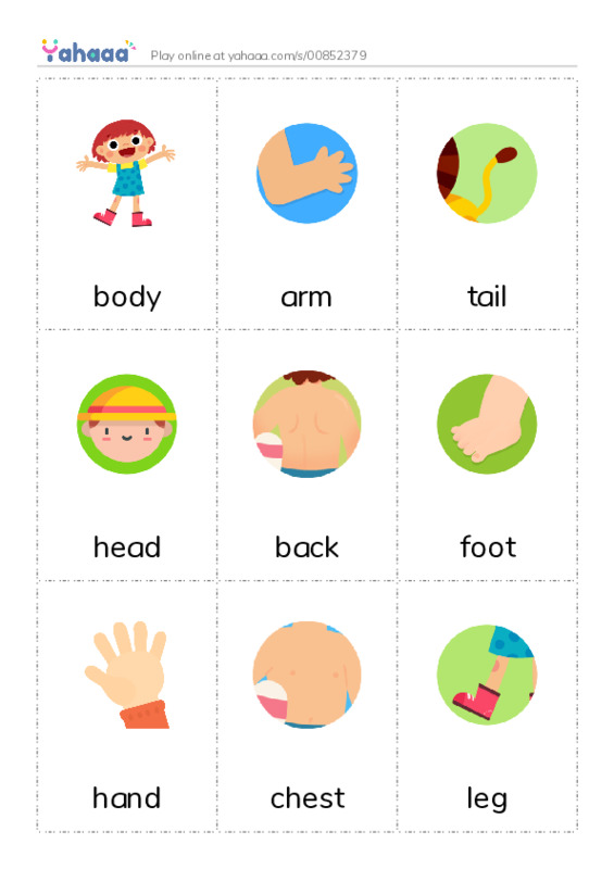 Picture flashcards worksheet for body, arm, tail and 6 more