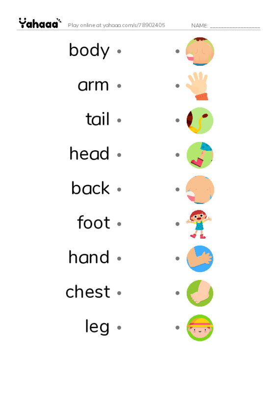 Draw a line to match worksheet for body, arm, tail and 6 more