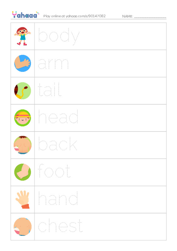 Picture and word rows worksheet for body, arm, tail and 6 more
