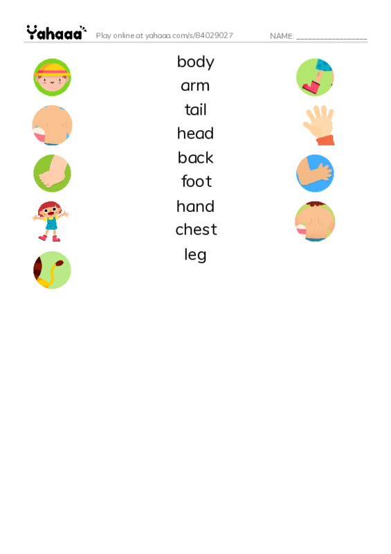 Match both sides worksheet for body, arm, tail and 6 more