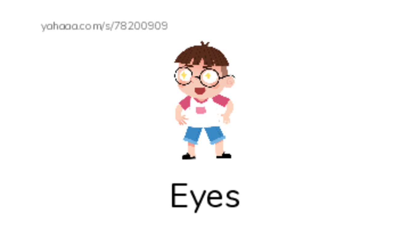 Index cards with pictures worksheet for Eyes, Ears, Nose and 3 more