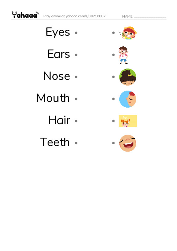 Draw a line to match worksheet for Eyes, Ears, Nose and 3 more
