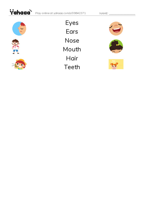 Match both sides worksheet for Eyes, Ears, Nose and 3 more