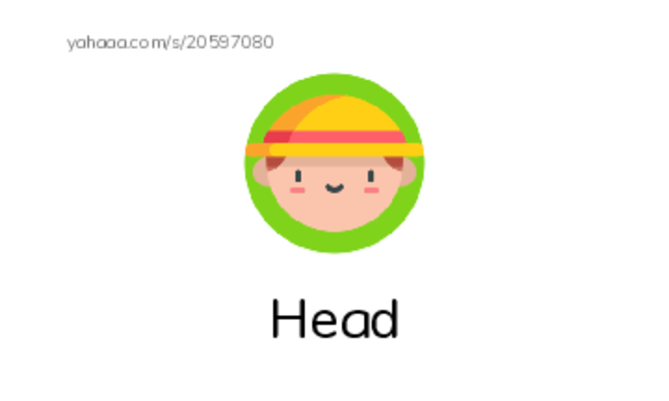 Index cards with pictures worksheet for Head, Shoulders, Knees and 1 more