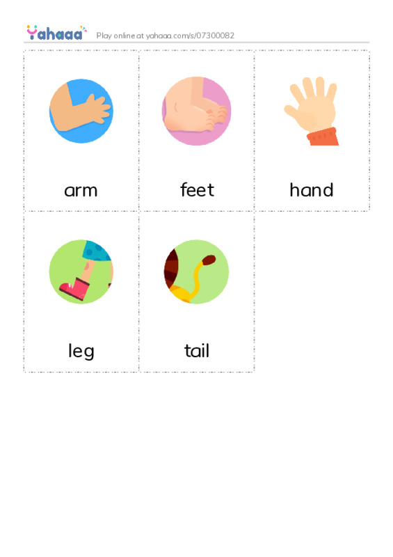 Picture flashcards worksheet for arm, feet, hand and 2 more
