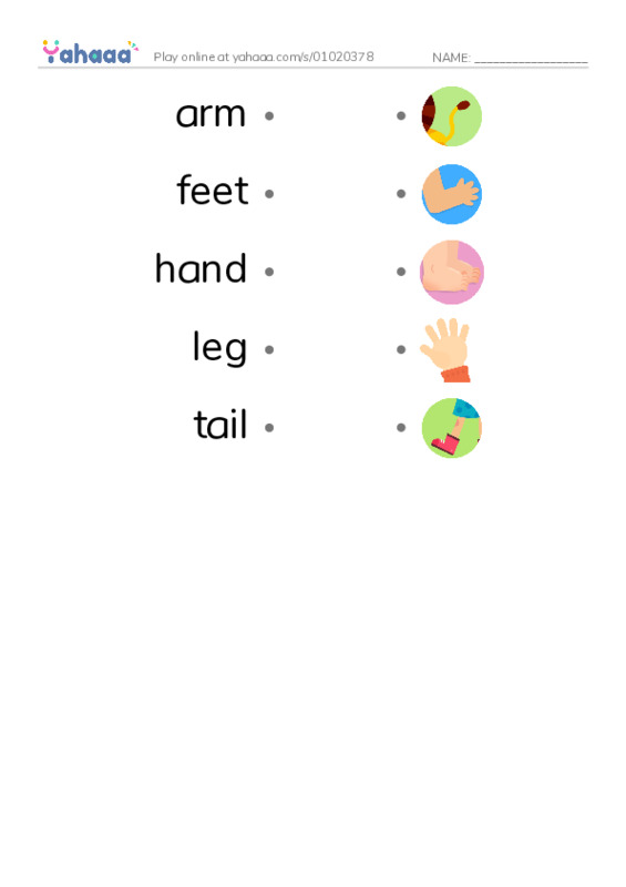 Draw a line to match worksheet for arm, feet, hand and 2 more