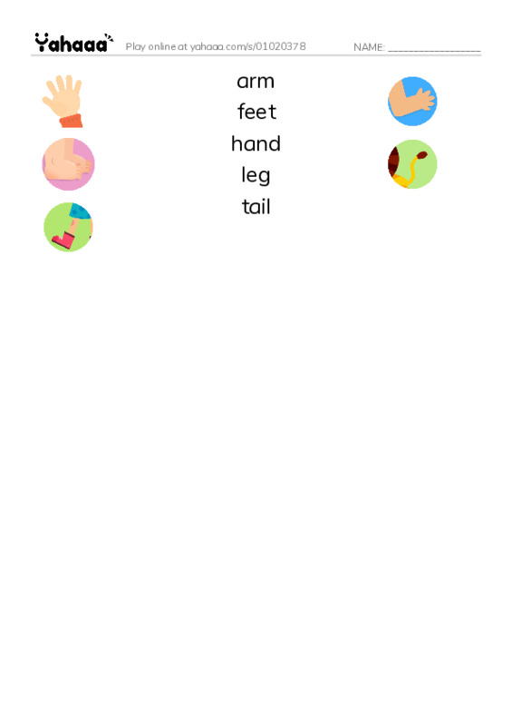 Match both sides worksheet for arm, feet, hand and 2 more