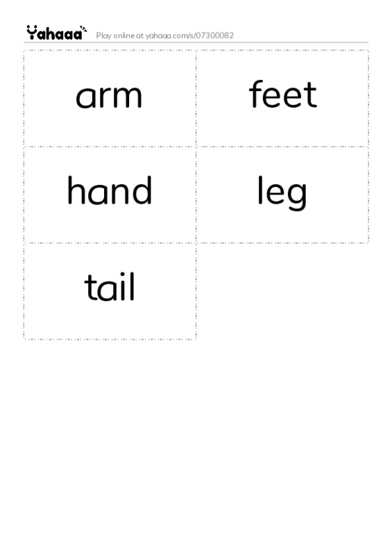 Word flashcards worksheet for arm, feet, hand and 2 more