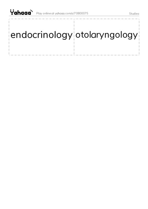 Word flashcards worksheet for Studies