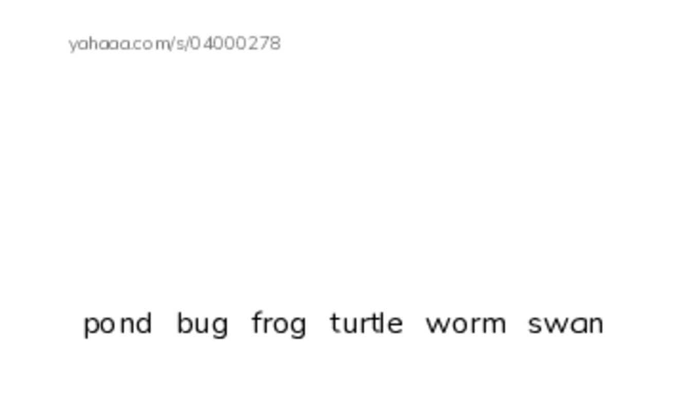 Index cards with pictures worksheet for pond，bug，frog，turtle，worm，swan