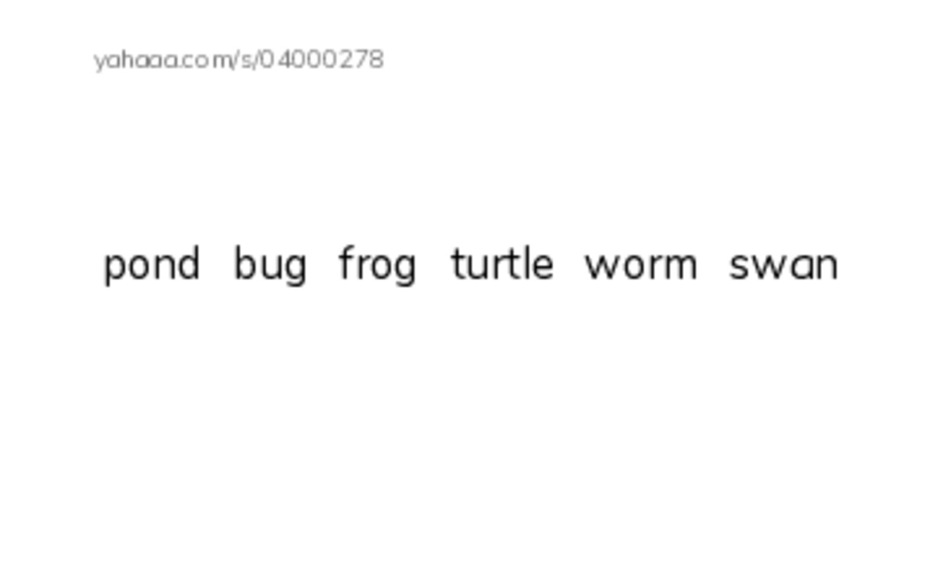 Index cards, words only worksheet for pond，bug，frog，turtle，worm，swan