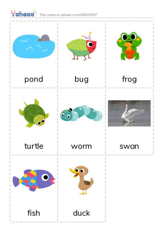 Picture flashcards worksheet for pond, bug, frog and 5 more