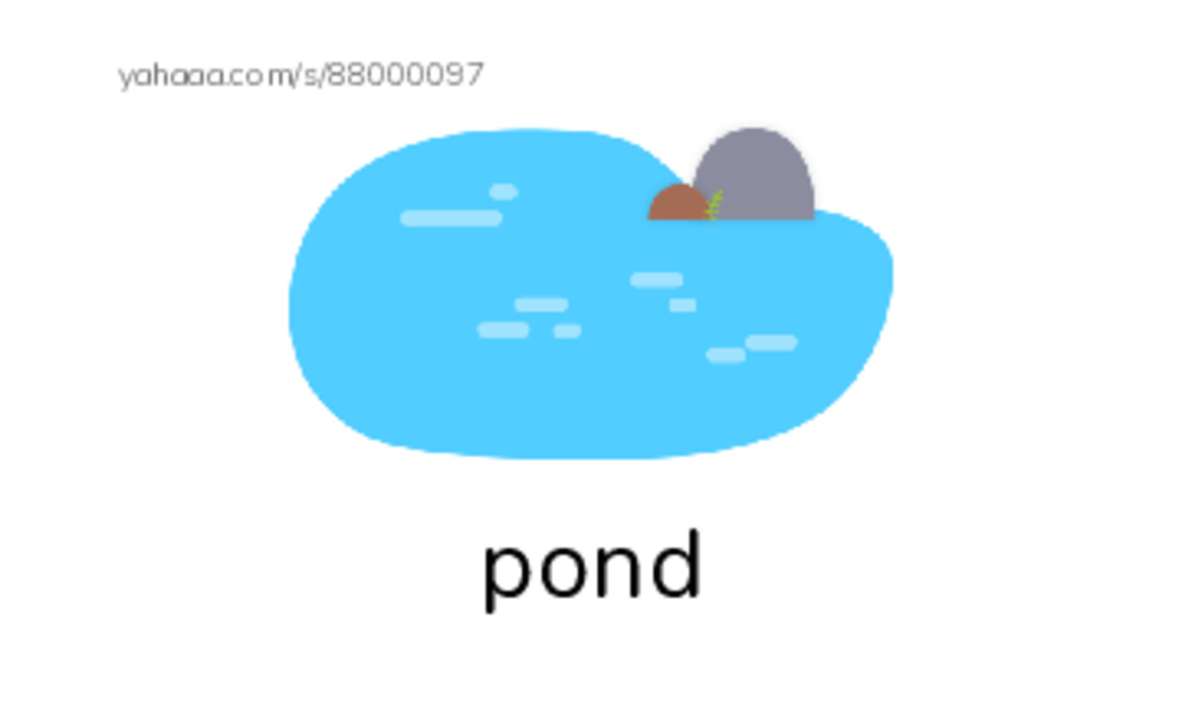 Index cards with pictures worksheet for pond, bug, frog and 5 more