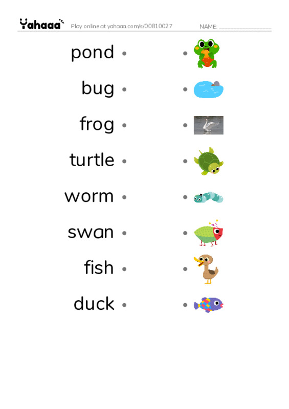Draw a line to match worksheet for pond, bug, frog and 5 more