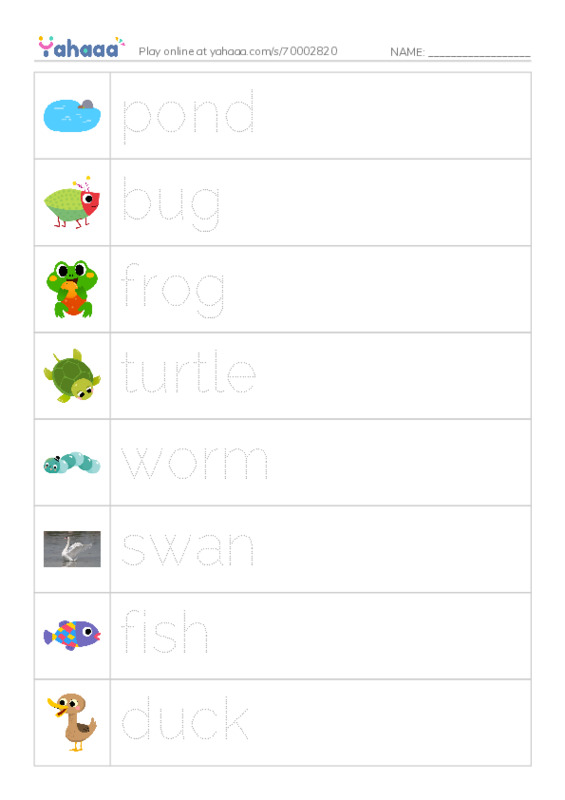 Picture and word rows worksheet for pond, bug, frog and 5 more
